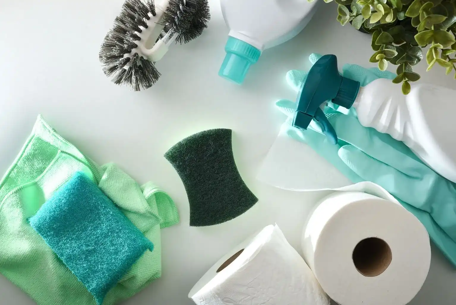 Cleaning Services